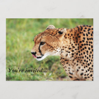 Carte d'invitation Cheetah
