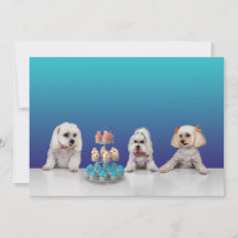 Carte d'invitation de fête plate personnalisable 5