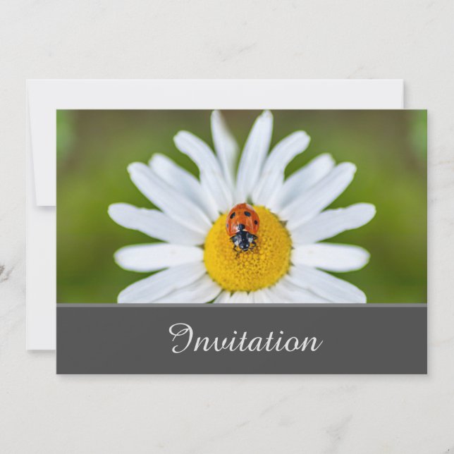 Carte d'invitation Enchantant avec coccinelle (Devant)