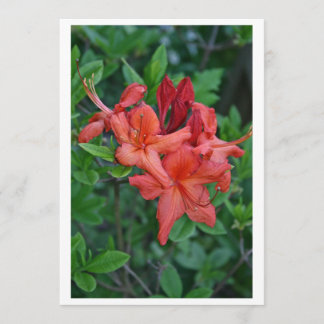 Carte d'invitation native Azalea Spring