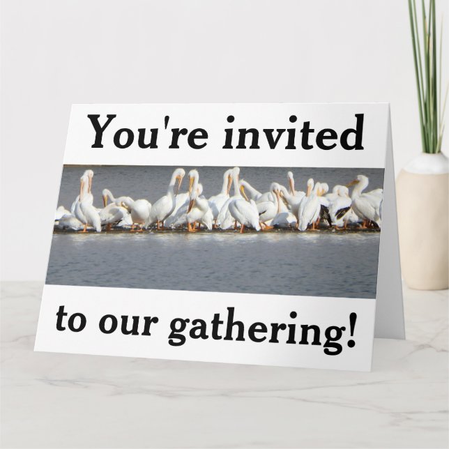 Carte d'invitation, Pélicans (Devant)