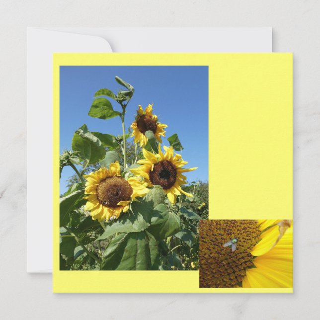 Carte d'invitation tournesols (Devant)