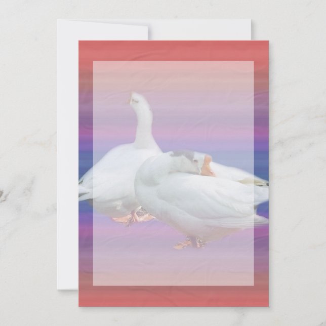 carte d'invitation vierge, tous usages (Devant)