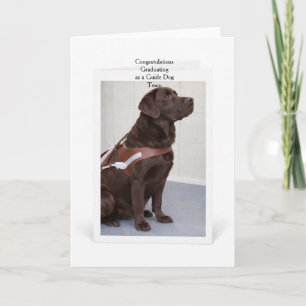 Carte Diplôme de Chien Guide Labrador Chocolat