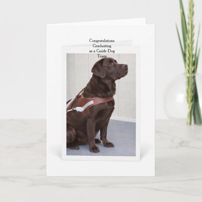 Carte Diplôme de Chien Guide Labrador Chocolat (Devant)