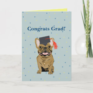Carte Diplômé, Félicitations Diplômé ! Bouledogue frança