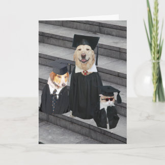 Carte Diplôme Funny Dog