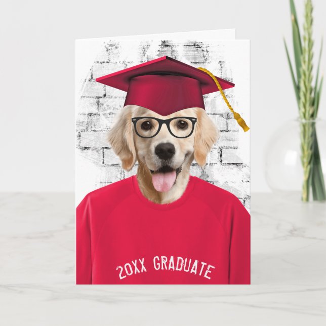 Carte diplôme golden retriever en t-shirt rouge (Devant)