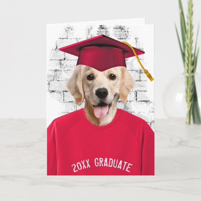 Carte diplôme golden retriever en t-shirt rouge (Devant)