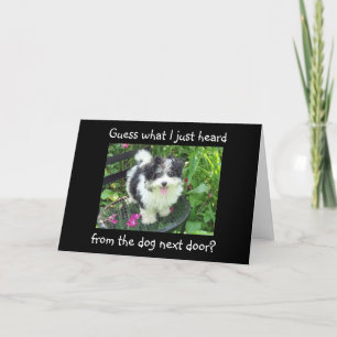 CARTE DIPLÔMÉS DU CHIEN À CÔTÉ
