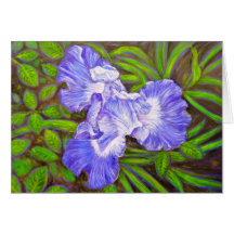 Carte d'iris
