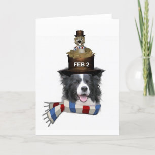 Carte Ditzy Dogs~Carte pour notes original~Bordure Colli
