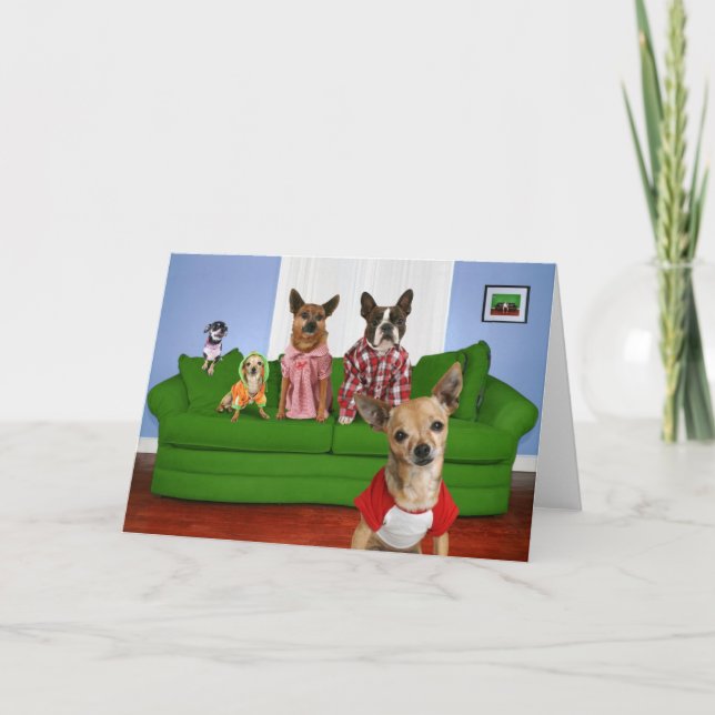 Carte Divan (Devant)