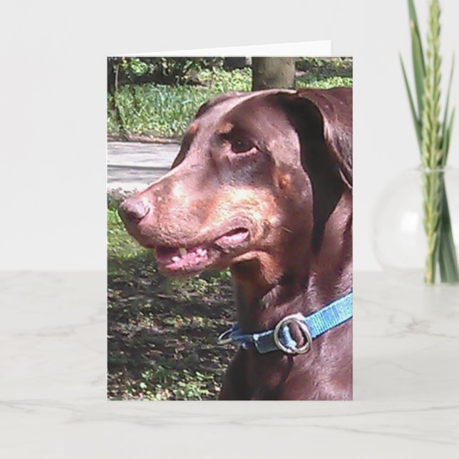 Carte Doberman Pinscher Rouge (Devant)