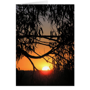 Carte d'obscurité au coucher du soleil