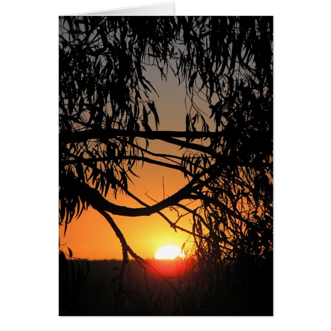 Carte d'obscurité au coucher du soleil (Devant)