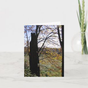 Carte d'observation et d'imagination