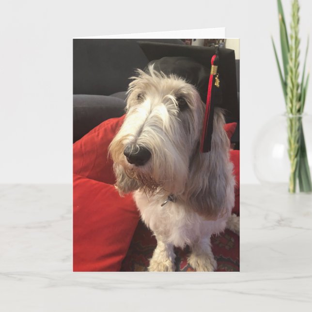 Carte d'obtention du diplôme de chien (Devant)