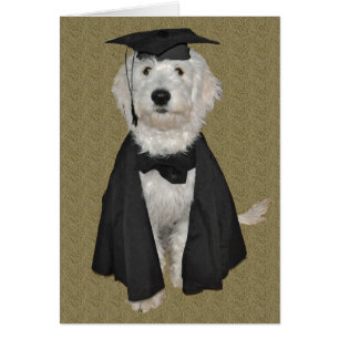 Carte d'obtention du diplôme de Goldendoodle
