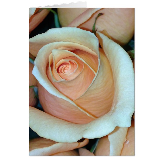 Carte d'occasion rose réglable 5x7 (Devant)