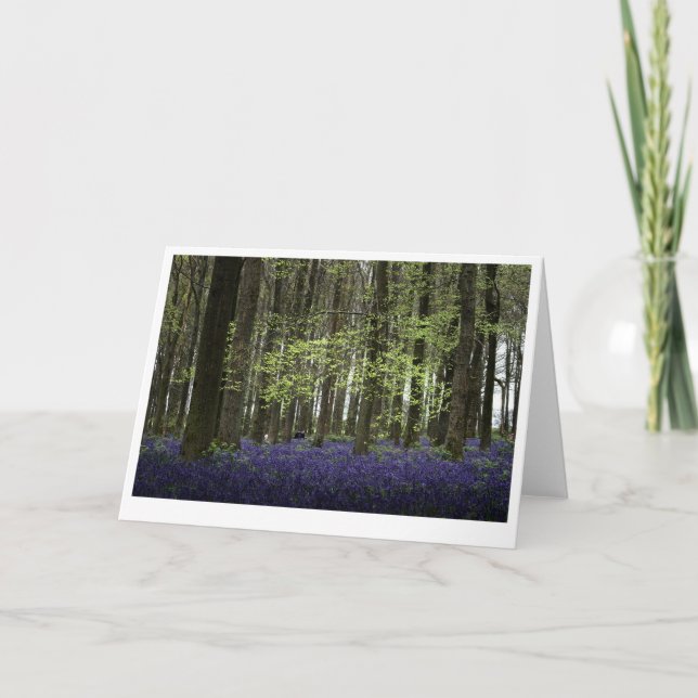 Carte Dockey Wood Bluebells Bedfordshire (7502) (Devant)