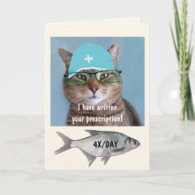 Docteur Chat Et Poisson Se Font Bien
