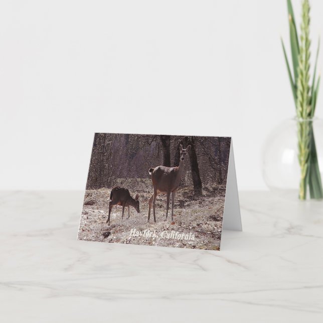 Carte Doe et fawn..... (Devant)
