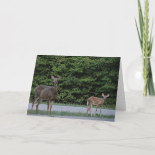Carte Doe & Fawn