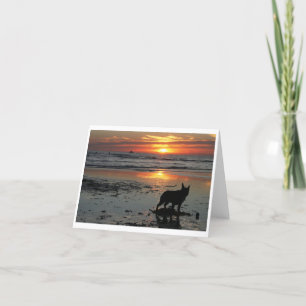 Carte Dog beach