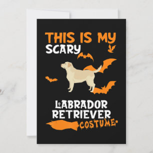 Carte Dog Lover This Is My Scary Labrador Retriever