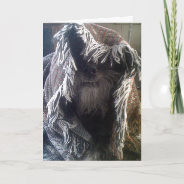 CARTE DOGGIE IN BLANKETS DIT "BONJOUR" (Devant)