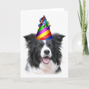 Cartes Border Collie D Anniversaire Zazzle Fr