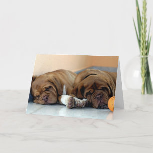 Carte Dogue De Bordeaux Chien Blank Grey Card