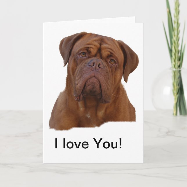 Carte Dogue De Bourdeaux, mastiff français (Devant)