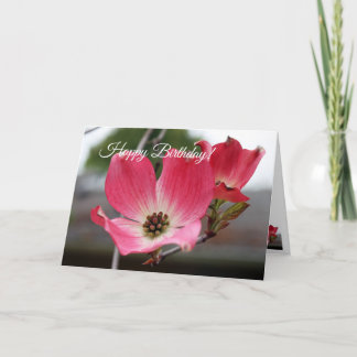 Carte Dogwood rose