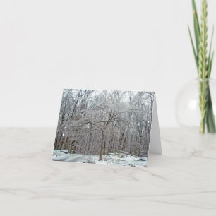 Carte Dogwood Tree in Winter Ice Note Card
