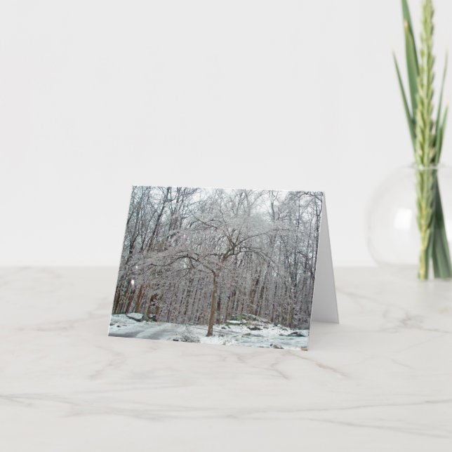 Carte Dogwood Tree in Winter Ice Note Card (Devant)