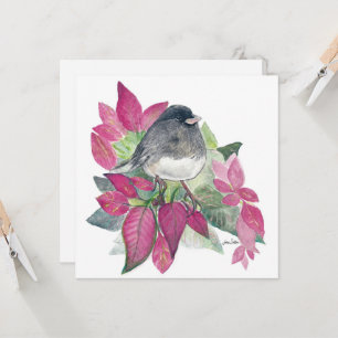 Carte d'oiseau Dark Eyed Junco