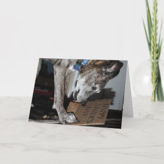 Carte Don de Fête des pères mangeur de chien (Le chien l