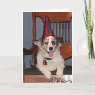 Carte DONC PRÊT À "FÊTE" POUR VOTRE ***40e ANNIVERSAIRE*