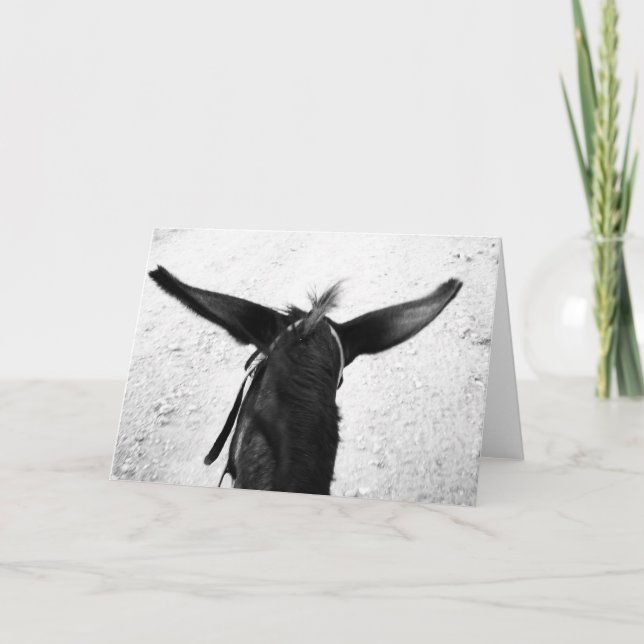 Carte Donkey (Devant)