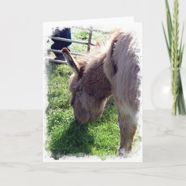 Carte Donkey (Devant)