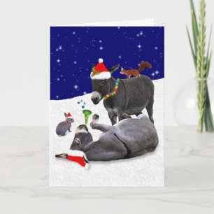 Carte Donkey Daze