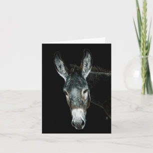 Carte Donkey - "Rocky"