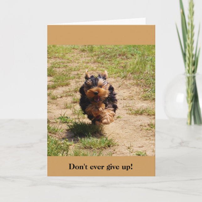 Carte Don't ever give up! greeting card (Devant)