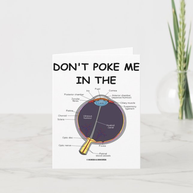 Carte Dont Ke Me In The Eye Eye Anatomy Attitude  (Devant)