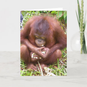 Carte Don't Share #1 - Wildlife greeting cards