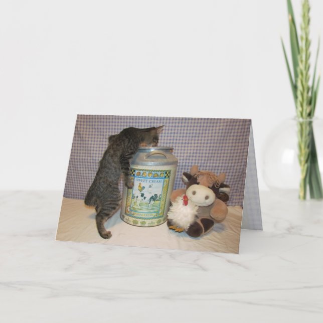 Carte Dora's Birthday Party - Chat / Kitten Birthday Car (Devant)