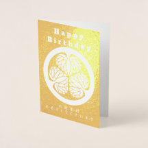 Histoire des samouraïs japonais Tokugawa Radiant