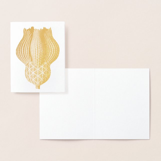 Carte Dorée Vintage Haeckel (Affichage)